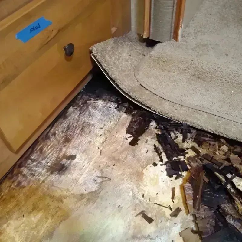 Best Wood Floor Water Damage Service in Tamiami, FL